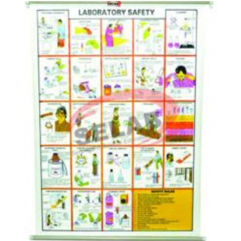 CHART LABORATORY SAFETY